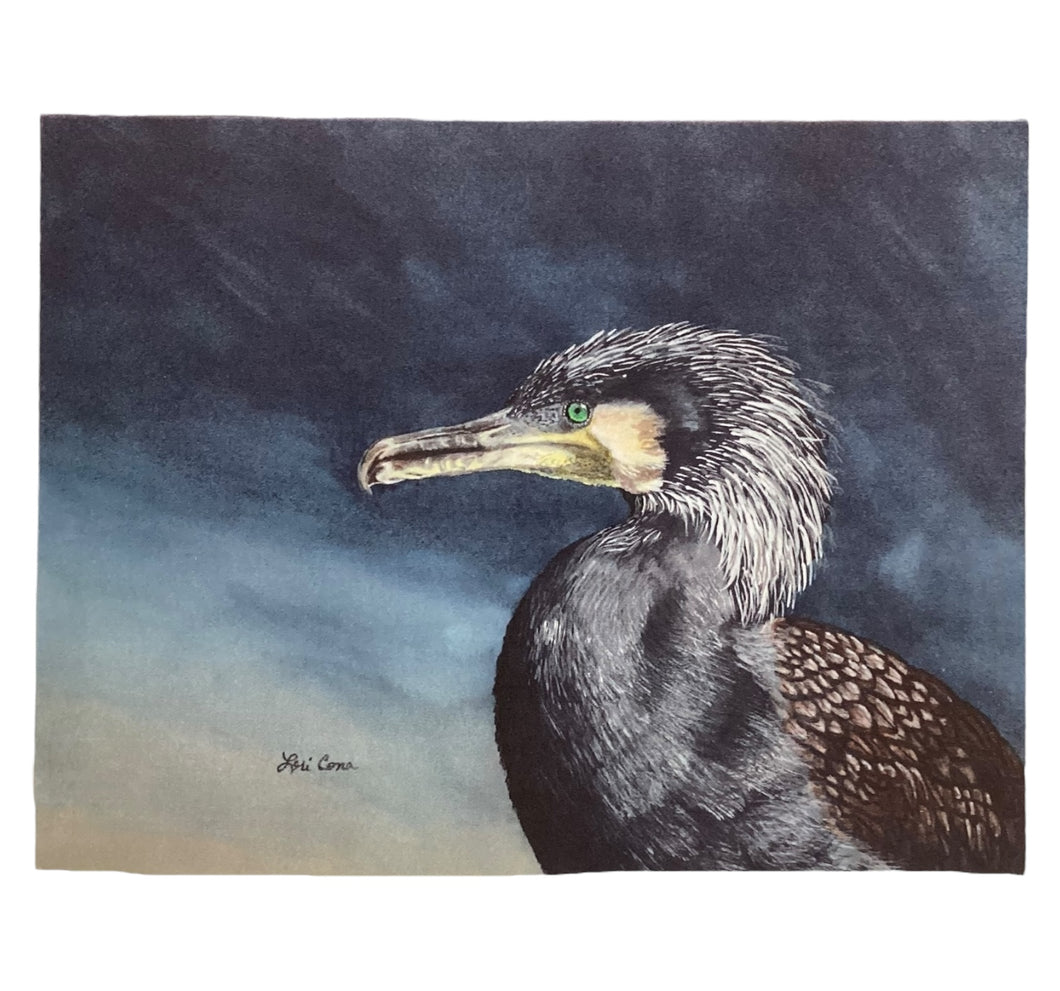 Notecard - Cormorant - 5 pack