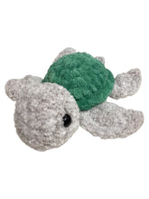 Sea Turtle