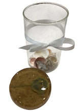 Bluespotted Ribbontail Ray Jar