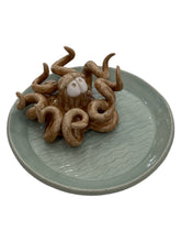 Octopus Trinket Dish - Tan