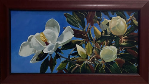 Southern Magnolia