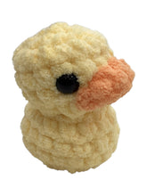 Little Ducky