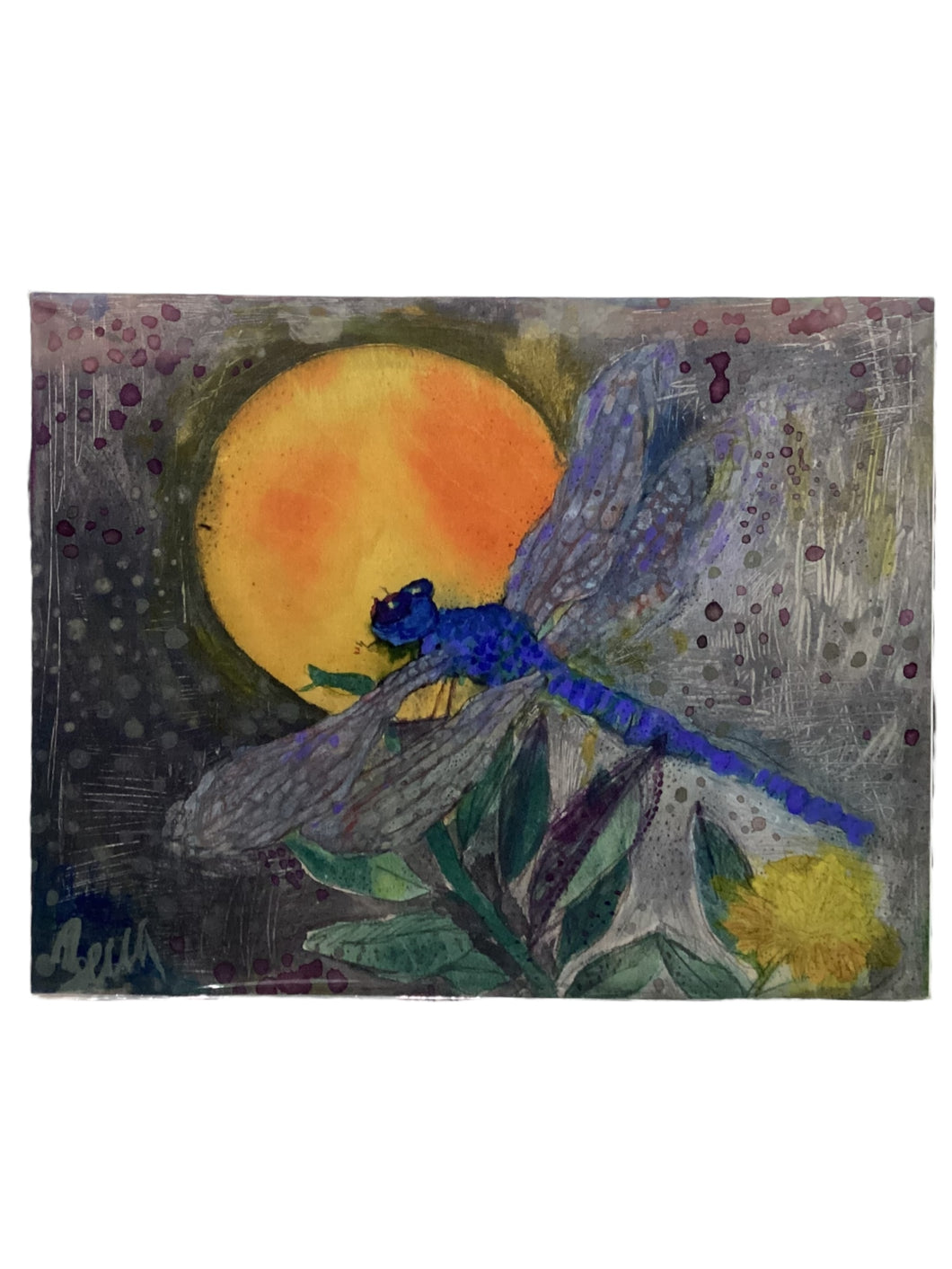 Dragonfly Sunrise - Print - 16