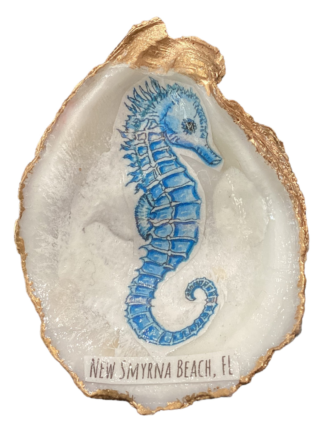 Oyster Shell - Blue Seahorse