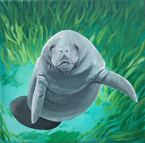 River Manatee