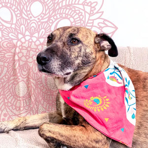 Saree Pet Bandana - Large