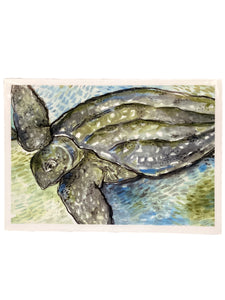 Leatherback Sea Turtle - Print - 5" x 7"