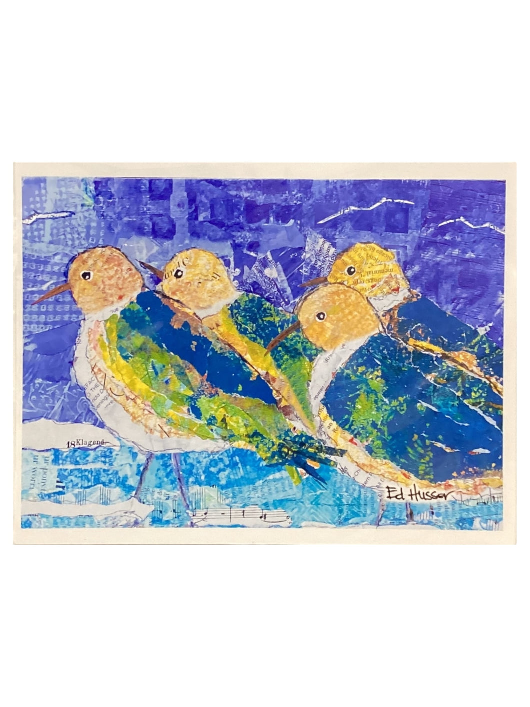 Colorful Shore Birds - Notecards