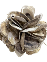 Oyster Cluster