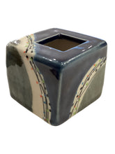 Frog Cube