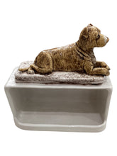Dog Sponge Holder