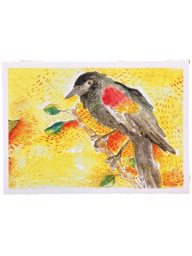 Red Winged Blackbird Copper Moon - Print - 5