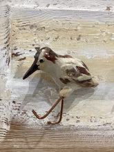 Sand Pipers
