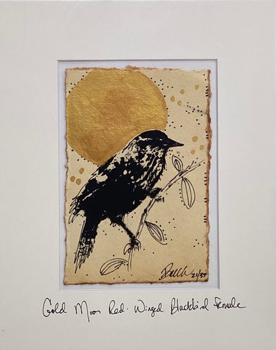 Gold Moon Red-Winged Blackbird Female - Original - 8
