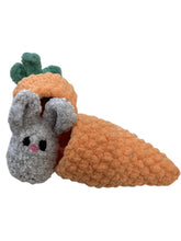 Carrot Bunny Inside