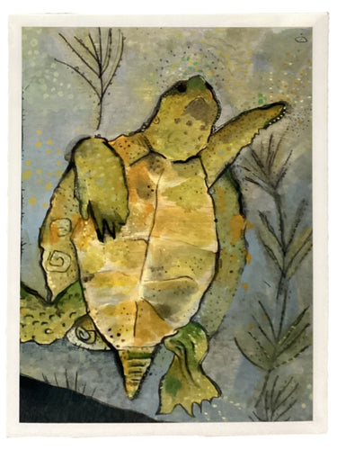 Turtle - Print - 5