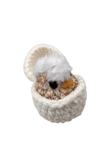 Chick in Egg