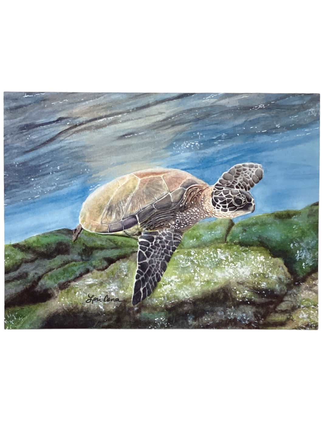 Notecard - Sea Turtle - 5 pack