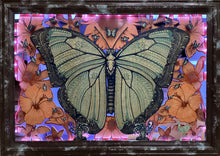 Blue Morpho Breakout - Blue