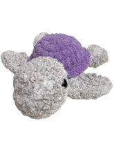 Sea Turtle
