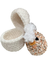 Chick in Egg