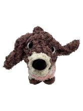 Dachshund Puppy
