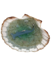 Hammerhead Lions paw