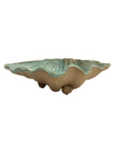 Shell Bowl