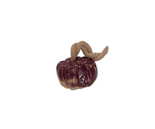 Mini Pumpkins
