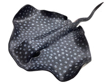 Medium Black & White Stingray