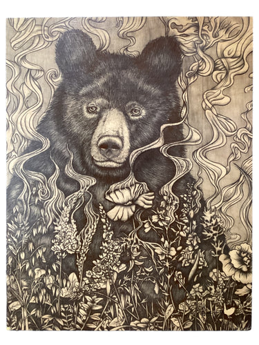 Black Bear - Black & White