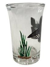 Shot Glass - Shark