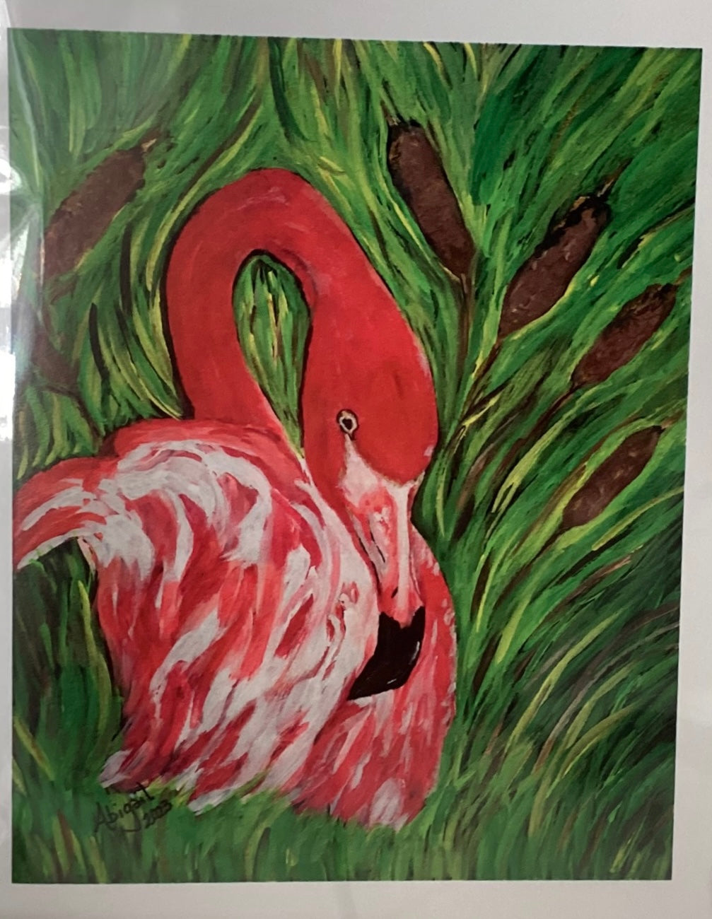 Face of a Flamingo Note Card Set