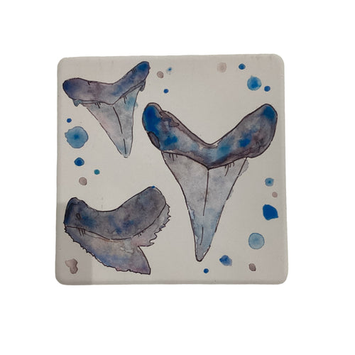 Water Absorbent Stone Coaster - Shark Teeth