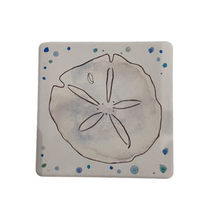 Water Absorbent Stone Coaster - Sand Dollar