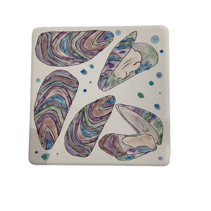 Water Absorbent Stone Coaster - Shell