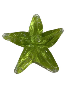 Glass Starfish