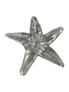 Glass Starfish