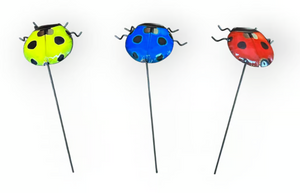 Ladybugs