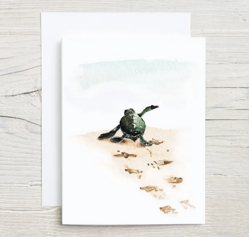 Turtle Card