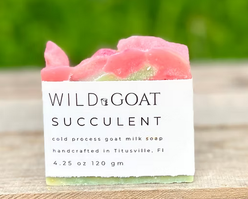 Wild Goat Soap - Succulent