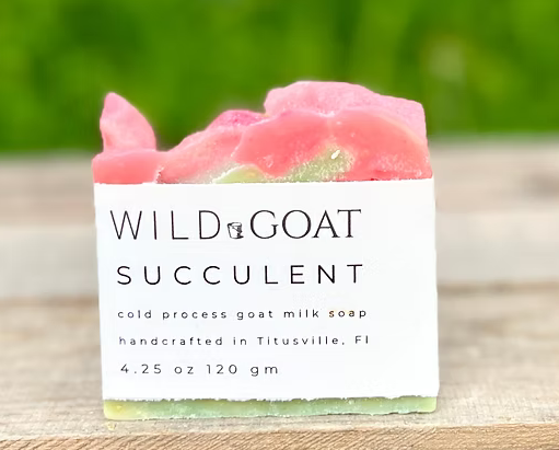 Wild Goat Soap - Succulent