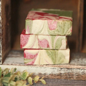 Baja Cactus  Bar Soap
