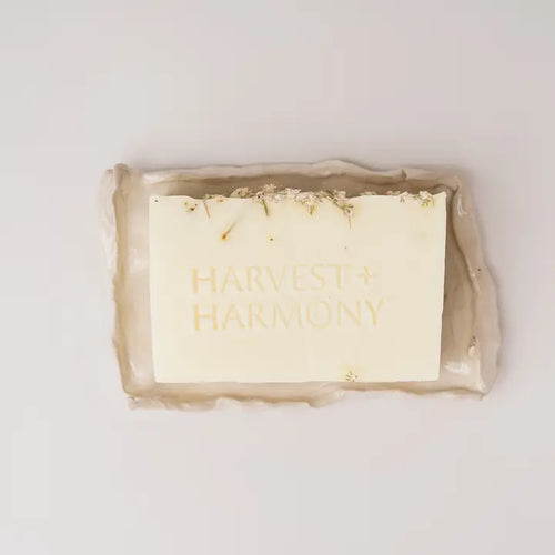 Lemon + Lemon Goat Milk Soap with Dish