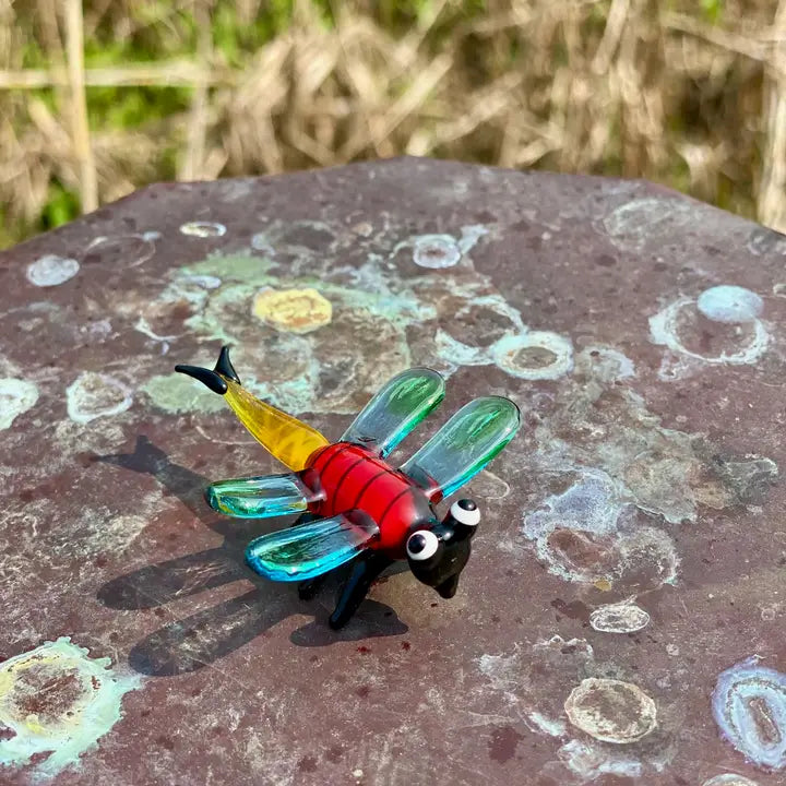 Glass Dragonfly