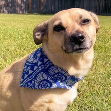 Saree Pet Bandana - Small