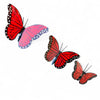 Small Monarch Butterflies - 3 Sizes