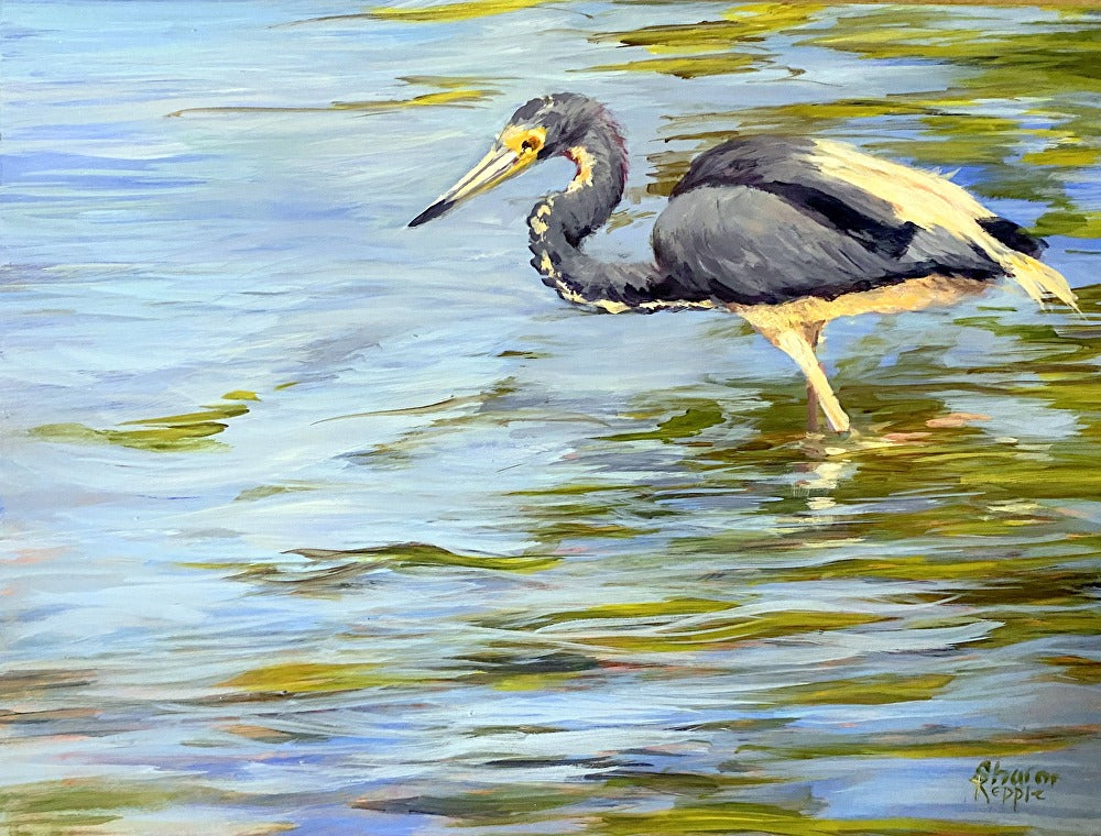 Tri-Colored Heron II