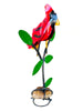 Cardinal on Rock