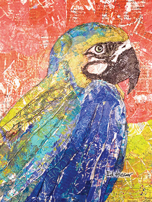 African Parrot - Notecard